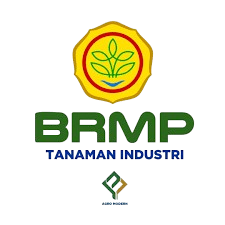 Kantor BRMP